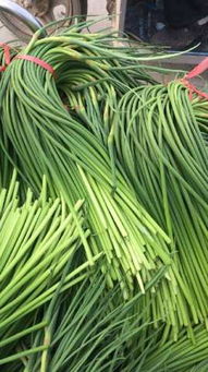 優(yōu)質(zhì)蒜薹低價(jià)熱銷(xiāo)，庫(kù)存清倉(cāng)搶購(gòu)中！