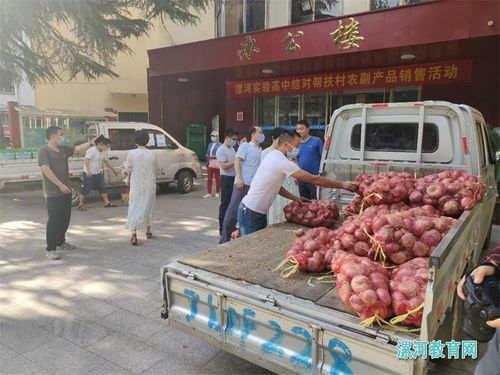 黨建引領消費扶貧，助力脫貧攻堅——漯河實驗高中開展結對幫扶村農副產品銷售活動