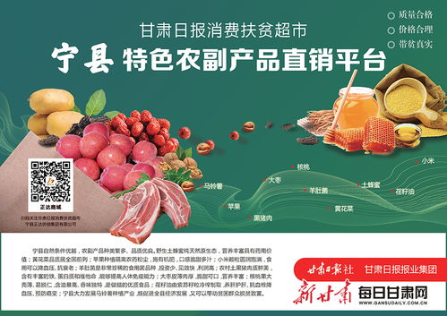 寧縣特色農(nóng)副產(chǎn)品直銷(xiāo)平臺(tái) 助力農(nóng)產(chǎn)品從田間到餐桌的直通橋梁