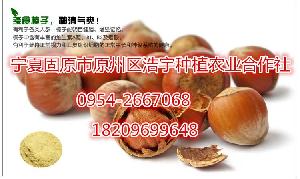 純野生山核桃 價(jià)格、品牌與銷(xiāo)售指南