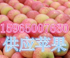 莒縣傲翔農(nóng)副產(chǎn)品購(gòu)銷(xiāo)處 探索海量高清圖片庫(kù)，展現(xiàn)農(nóng)副產(chǎn)品的天然魅力