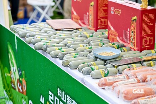 青島農品 以品牌之光，照亮鄉(xiāng)村振興之路——2024青島品牌日農副產品展銷盛況紀實