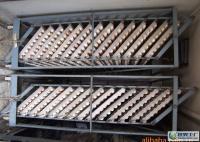 物美價廉，品質無憂 來自世界工廠網的優良柴雞蛋